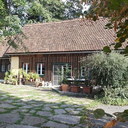 Presshaus Alte Muehle Villa Stainz Kültér fotó
