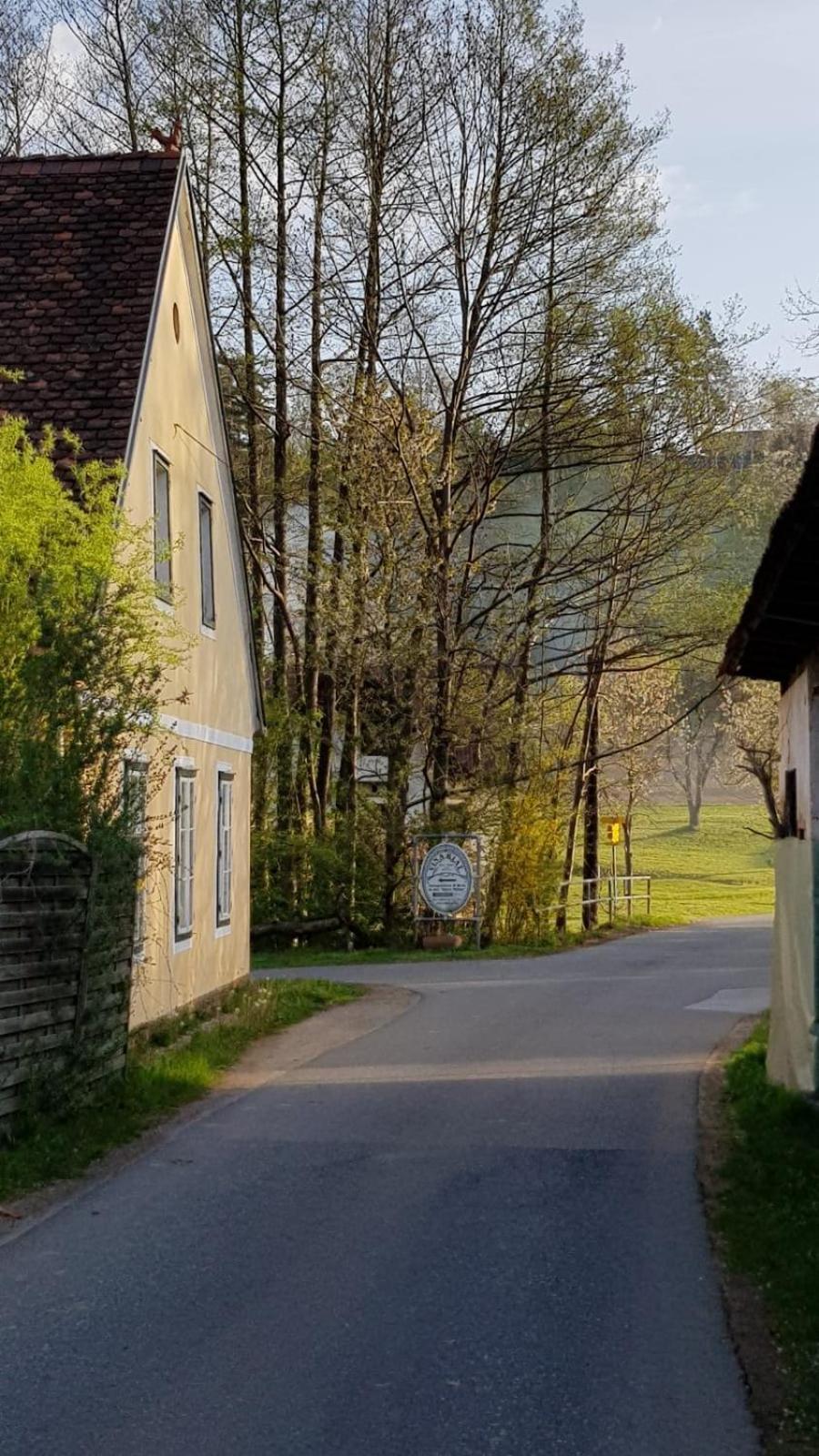 Presshaus Alte Muehle Villa Stainz Kültér fotó