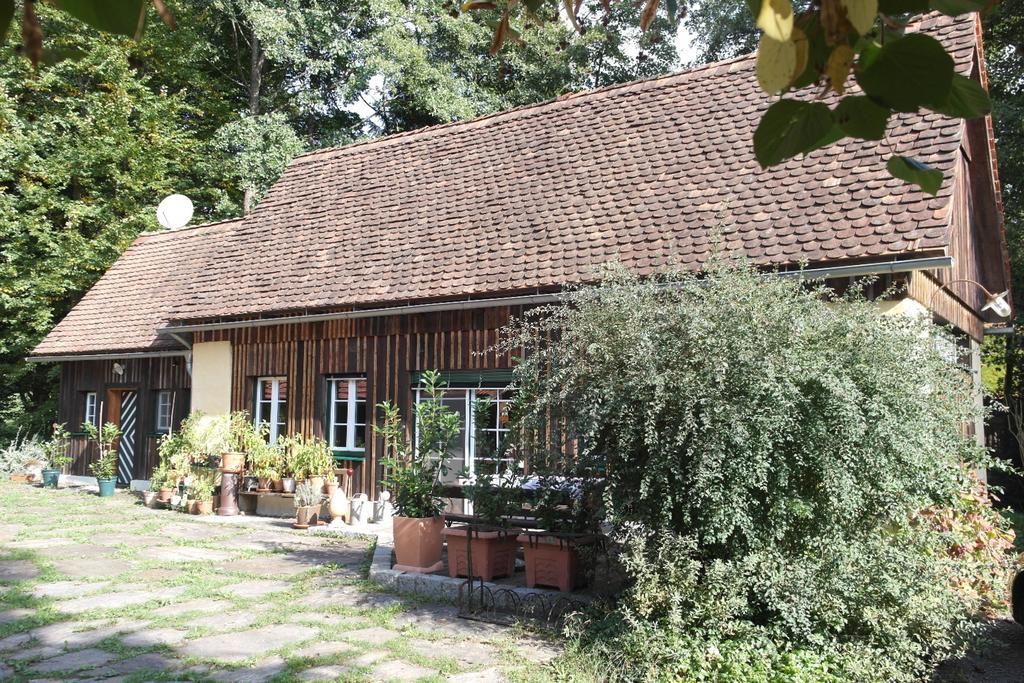 Presshaus Alte Muehle Villa Stainz Kültér fotó
