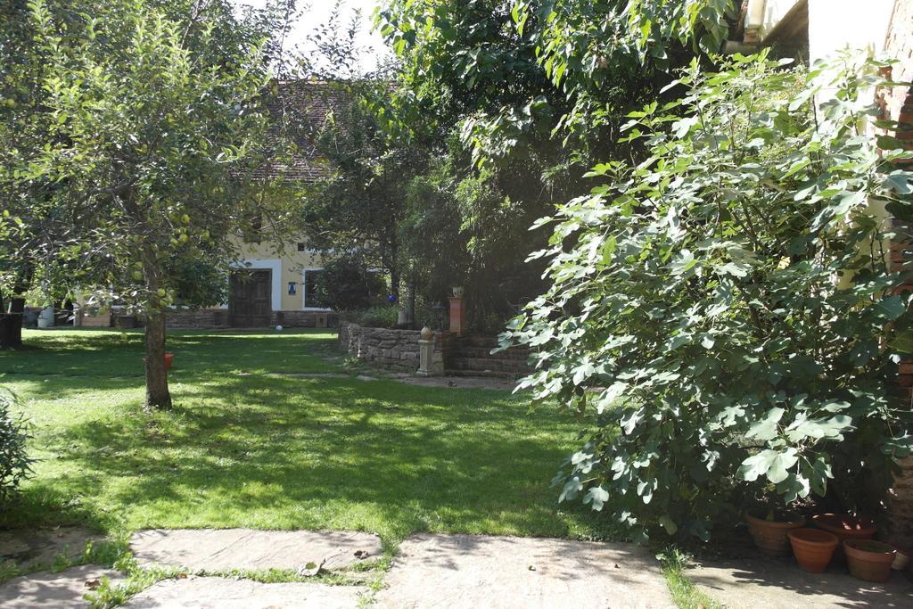 Presshaus Alte Muehle Villa Stainz Kültér fotó